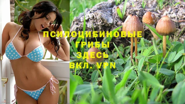 мдпв Баксан