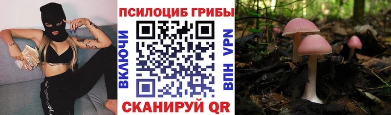 Псилоцибиновые грибы Magic Shrooms  Реутов 